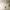 nordiclight
branchlight
modern nordic chandelier
led tree branch chandelier
nordic tree branch light
modern branch chandelier
nordic pendant light
led chandelier light