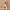 slim wood storage
slim wooden storage
slim storage cabinet
slim storage shelf
bathroommats
wooden storage unit
slim wood shelf
slim storage furniture
modern slim storage
slim wood cupboard