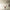 nordiclight
branchlight
modern nordic chandelier
led tree branch chandelier
nordic tree branch light
modern branch chandelier
nordic pendant light
led chandelier light